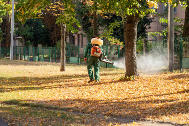 Best Cockroach Control Services  in City View, SC